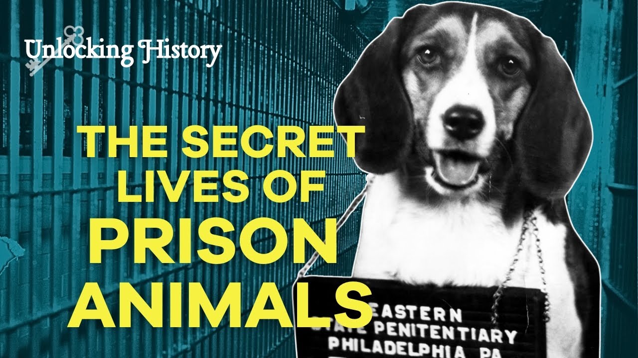 The Animals of Eastern State Penitentiary