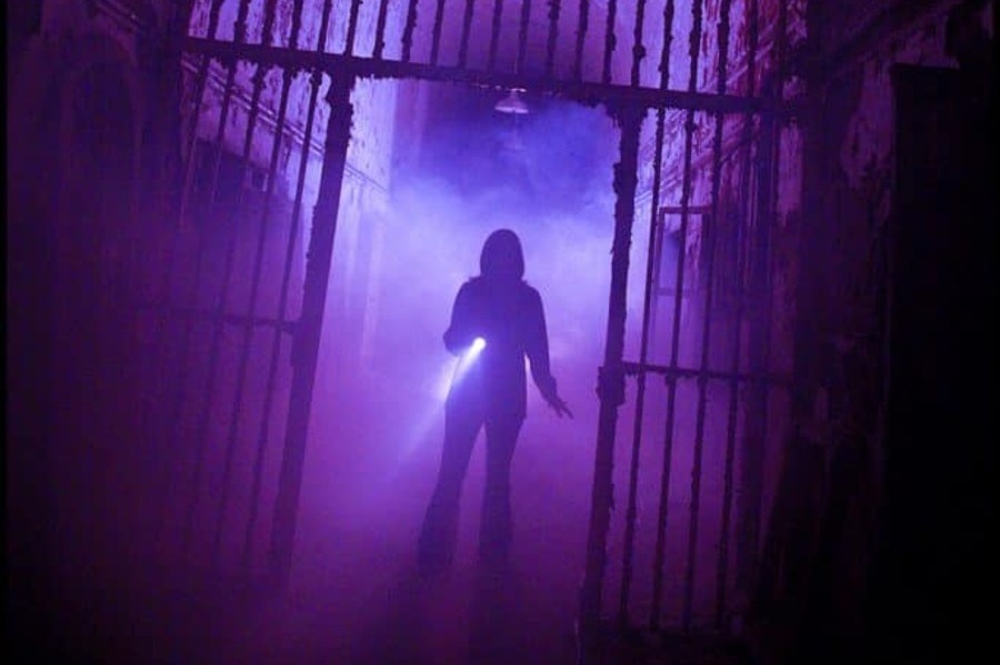 After Dark VIP Tour